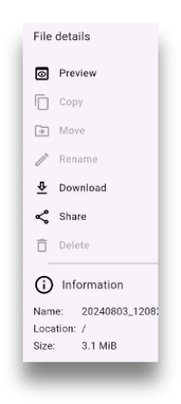 File options in read repositories