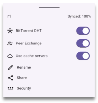 Repository options window